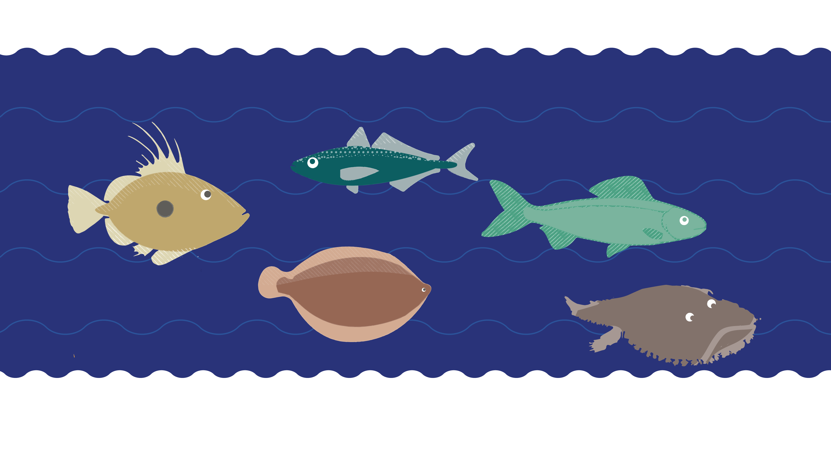 Sara Villanueva illustration real fish various fish